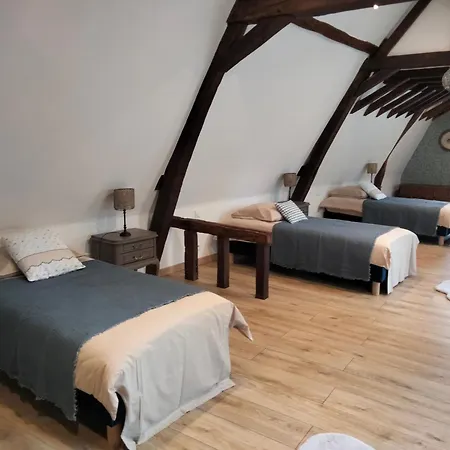 Maison Familiale Près Du Zoo De La Flèche Avec Piscine Chauffée, Jardin Et Cheminée - Fr-1-410-377
